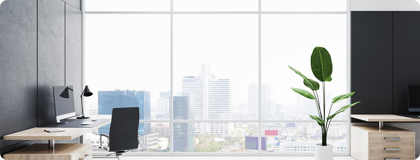 Introduce background