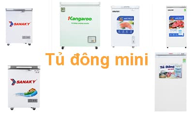 Tủ Đông Mini là gì? So Sánh Với Tủ Lạnh Mini Thanh Lý