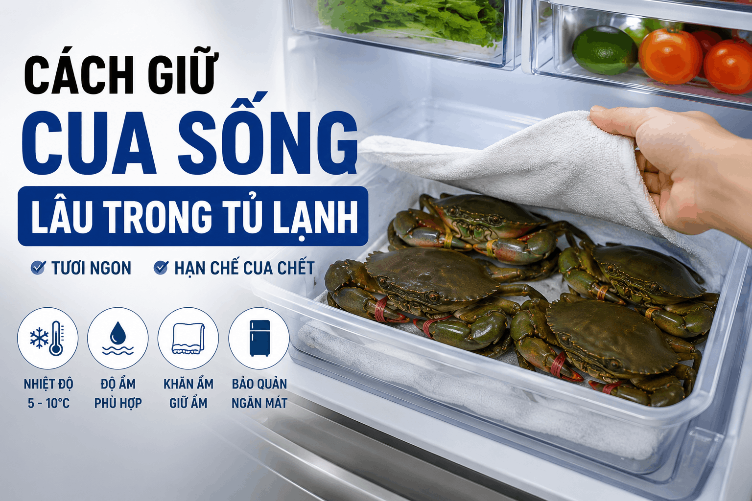Cách Giữ Cua Sống Lâu Trong Tủ Lạnh Luôn Tươi Ngon