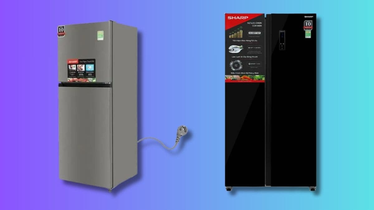 Kích Thước Tủ Lạnh 2 Cánh Panasonic, Samsung, LG: Tra Cứu Nhanh