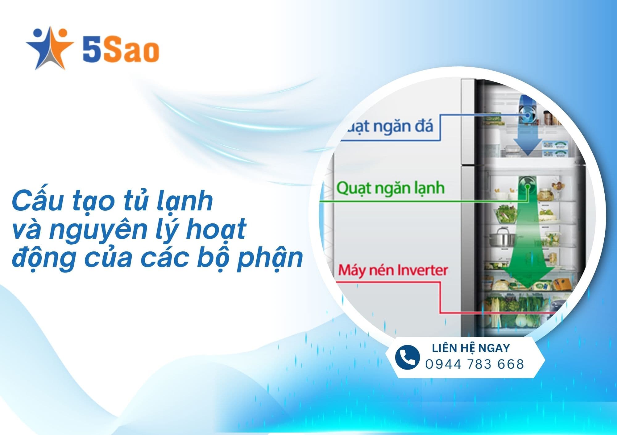 Cấu Tạo Tủ Lạnh Và Nguyên Lý Hoạt động Của Các Bộ Phận