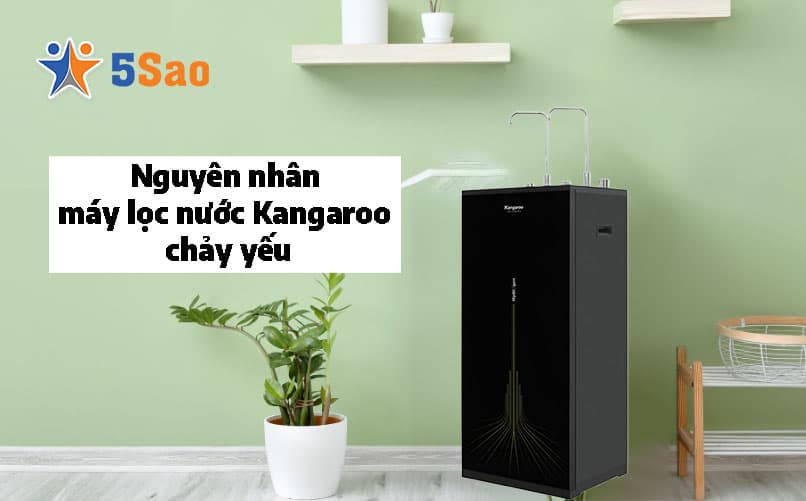 5 Nguyên Nhân Máy Lọc Nước Kangaroo Chảy Yếu & Cách Sửa