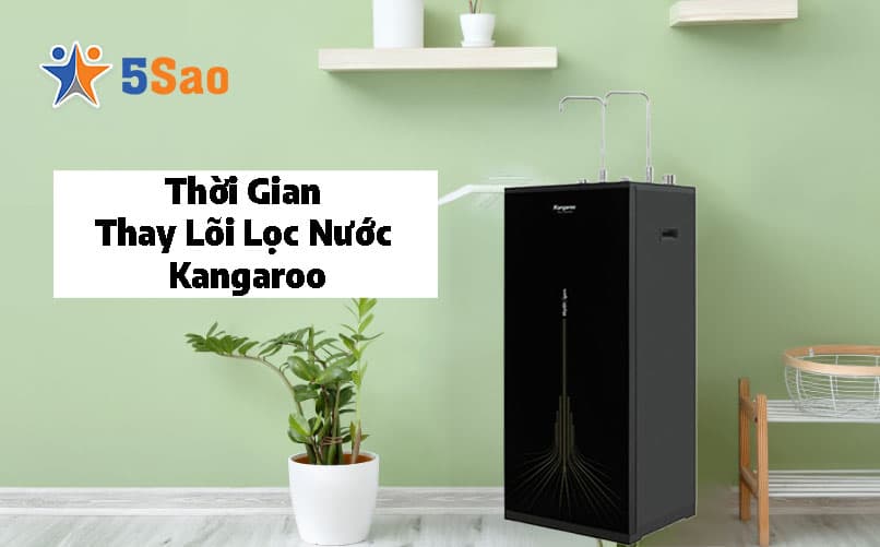 Thời Gian Thay Lõi Lọc Nước Kangaroo Chuẩn Xác Từ A-Z