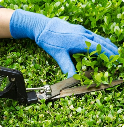 Dịch vụ chăm sóc cảnh quan sân vườn