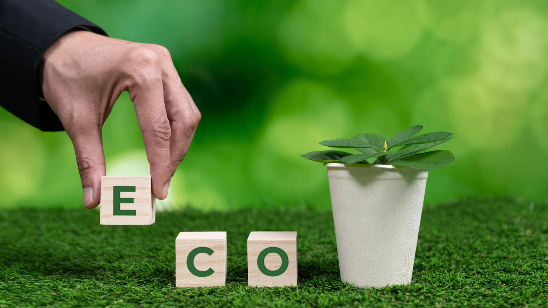 Định nghĩa Eco