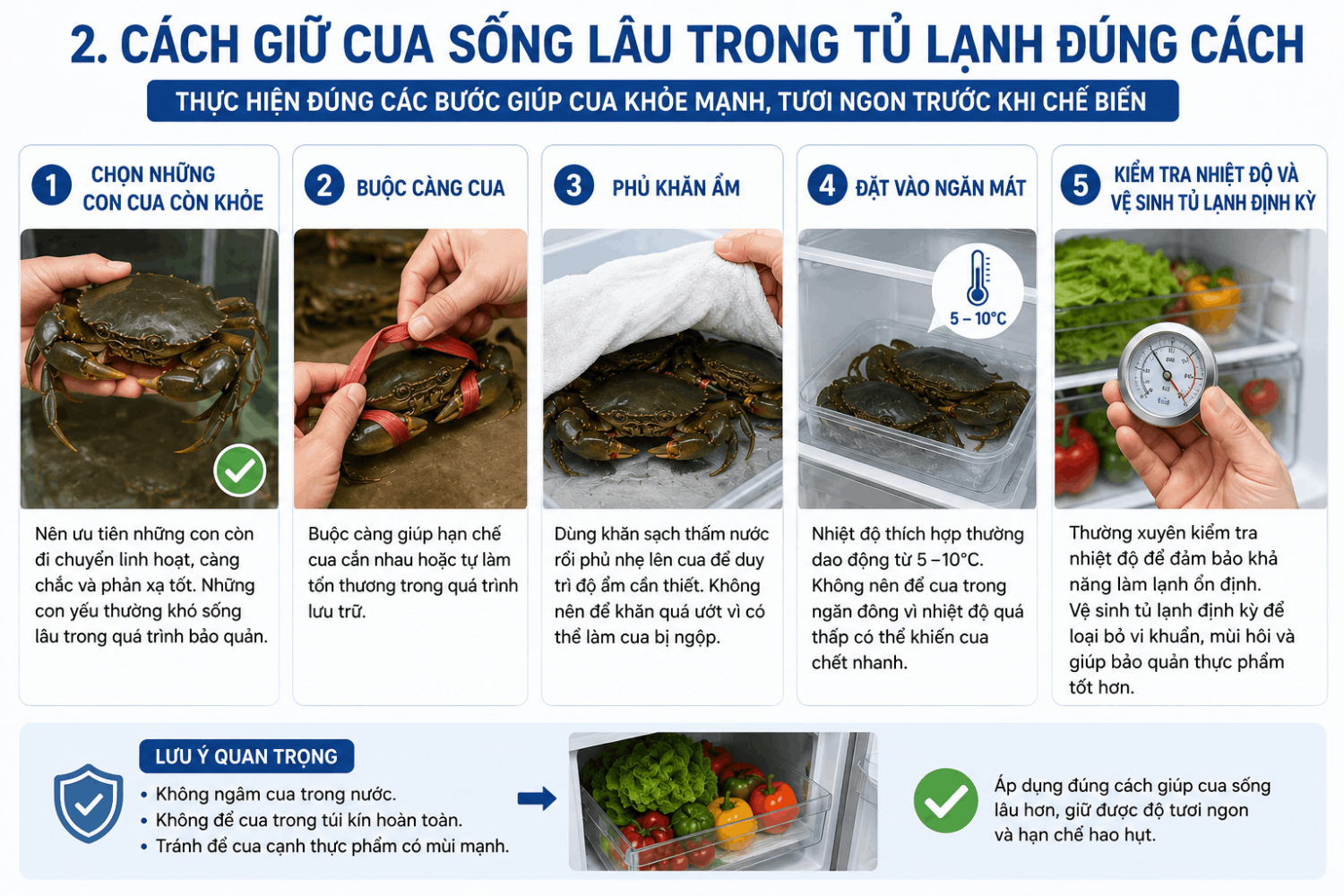 quy trình bảo quản cua sống