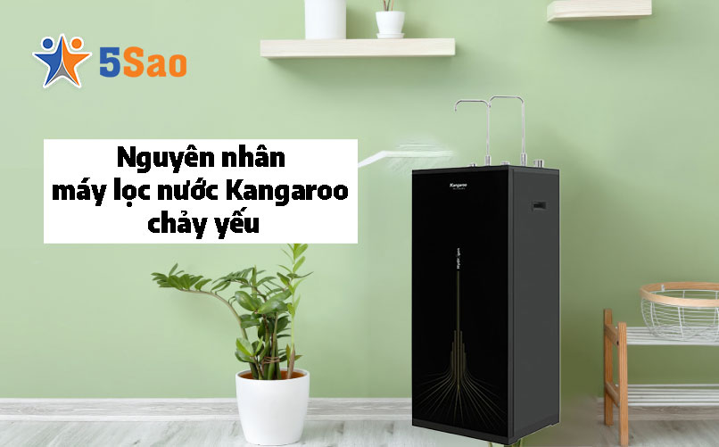 Nguyên Nhân Máy Lọc Nước Kangaroo Chảy Yếu